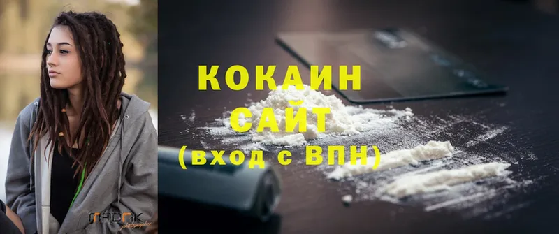 Cocaine FishScale  дарнет шоп  Джанкой 